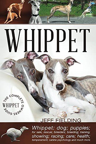 Whippet The Complete Owners Guide Whippet Dogs Puppies For Sale