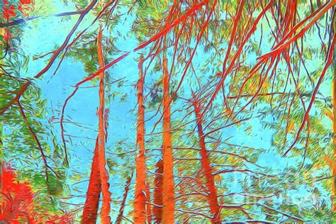Trees Branches 30 By Chris Taggart Tree Branches Tree Abstract Artwork