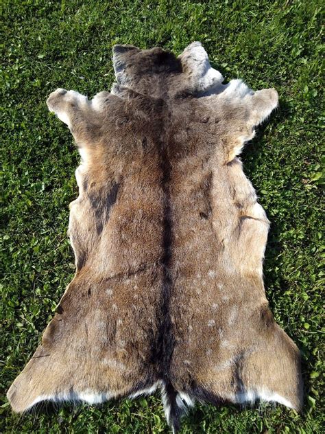 Fallow Deer Skin Hide Area Rug Fur Dama Dama Living Room Etsy