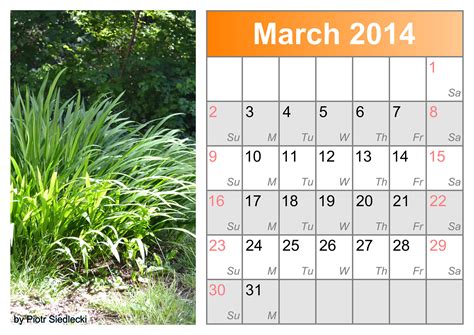 Calendar Month March 2014 Free Stock Photo Public Domain Pictures