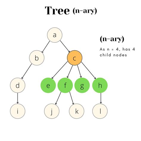 Types Of Tree In Data Structure Hot Sex Picture