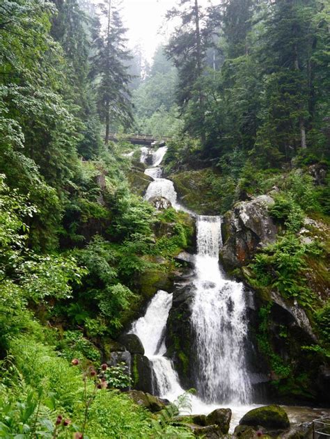 7 Amazing Thing To Do In The Black Forest Germany The Travelista