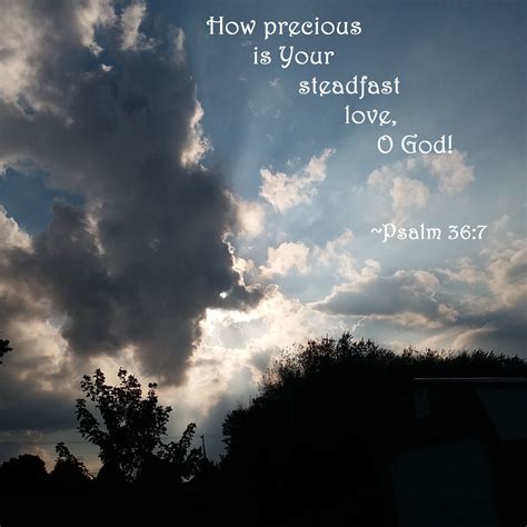 Psalm 367 ~ How Precious Is Your Steadfast Love O God Steadfast