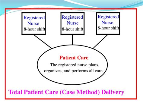 Examples Of Nursing Care Models Printable Templates