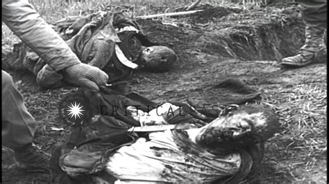 Bayonet And Bullet Wounds On The Chests Of The Corpses Taken Out By The