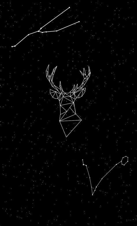 Deer Wallpaper Oled Deer Wallpaper Geometric Deer Wallpaper