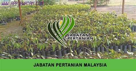 782 likes · 38 talking about this. Jawatan Kosong di Jabatan Pertanian Malaysia. - Appjawatan