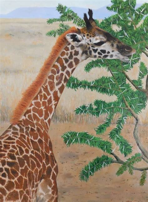 Giraffe Eating Her Favorite Acacia Tree Painting By Veronique Fournier