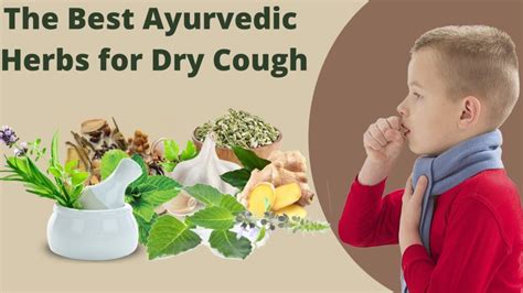Home Remedies For Dry Cough Deep Ayurveda No1 Ayurvedic Brand