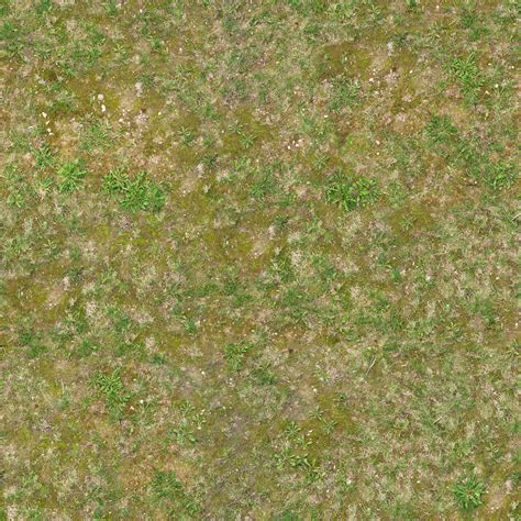 Dirt Grass Texture