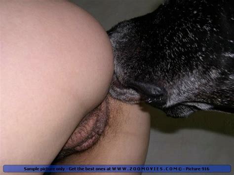 Dog Eating Pussy Videos 34477 Zoo Se Huge Black Dog Licki