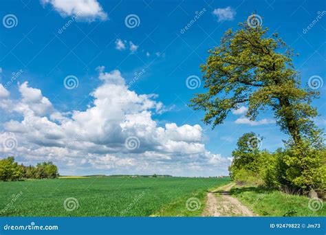 Spring Countryside With Green Field Road And Blue Sky Stock Photo