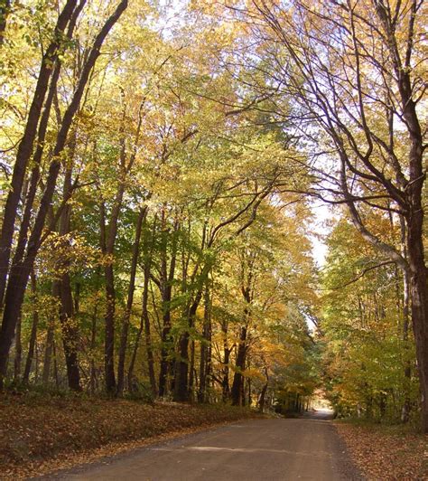 Best Fall Foliage Drives Midway Between Pittsburgh And Erie Visit