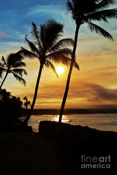 Sunset Palm Trees On Maui Hawaii Photograph By Elite Image Photography By Chad Mcdermott Fine