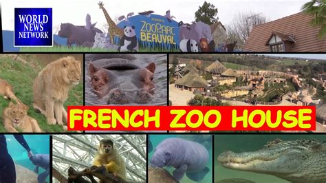 French Zoo Youtube