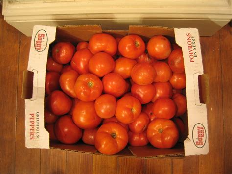10 For This 25 Lb Box Of Tomatoes By Far The Best Deal W Flickr