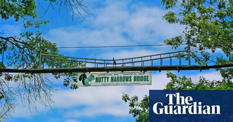 Bee Highways And Squirrel Suspension Bridges Urban Wildlife Crossings
