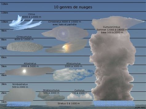 les nuages sont classés selon la norme de l organisation météorologique mondiale en dix espèces