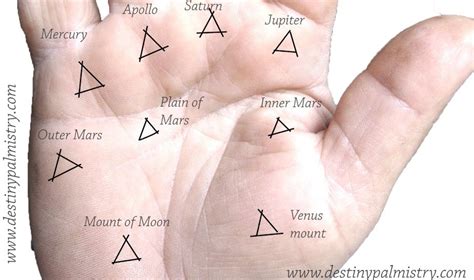 Triangle Mark On The Palm Mounts Palmistry Palmistry Palm Reading Triangle Meaning