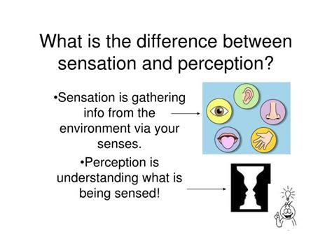 Ppt What Is The Difference Between Sensation And Perception