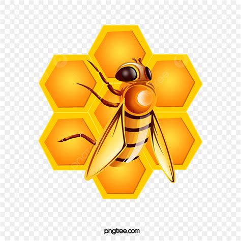 النحلة نحلة عسل خلية النحل Png وملف Psd للتحميل مجانا