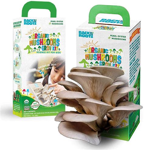 Best Mushroom Growing Kit For Beginners Science Kits For Kids