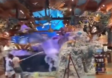Man Jumps Into Bass Pro Shop Aquarium At Florida Mall