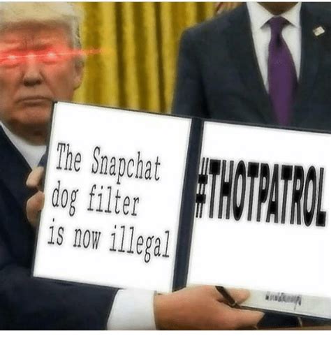 The Snapchat Dog Filter Is Now Illegal Meme On Sizzle