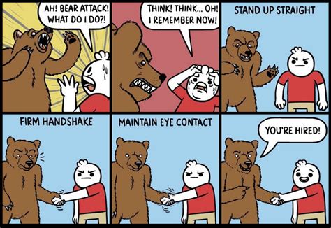 Bear Attack Wholesome Memes Know Your Meme