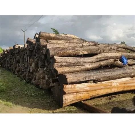 Indian Teak Wood Log At Rs 2000cubic Feet Indian Sagwan Wood In Tenali Id 2851862563033