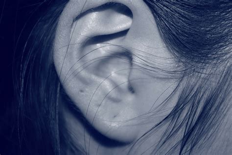 Everything Ear Care What You Need To Know About Closed Piercings