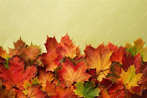 Premium Photo Red Orange Yellow And Green Maple Leaves Background