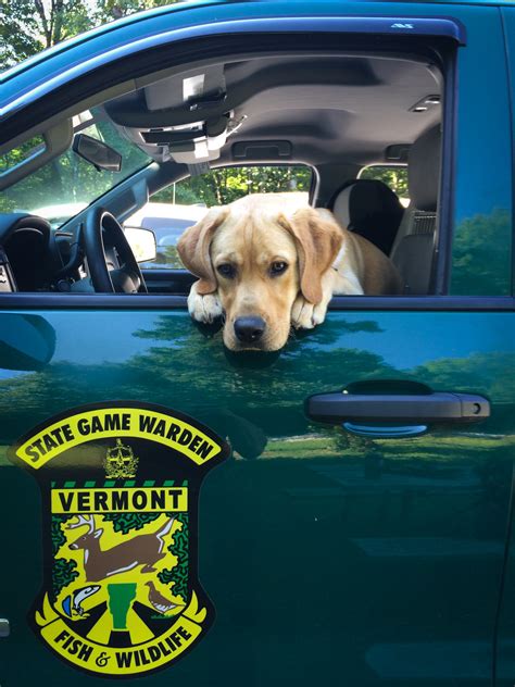 A Vermont Game Warden K9 Played Vermont Fish And Wildlife