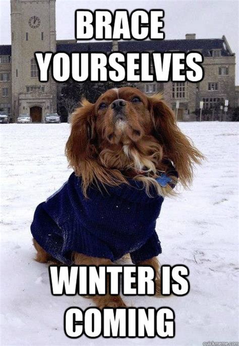 55 funny winter memes that are relatable if you live in the north winter is coming meme funny
