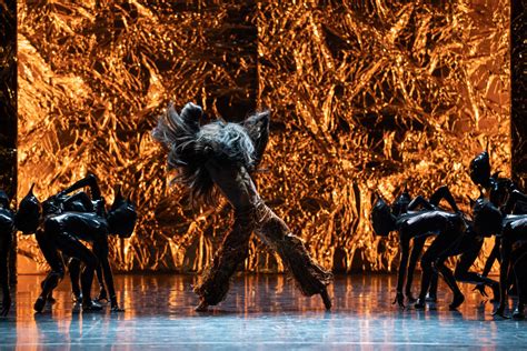 The Yeti Hairy Being Tamed By Contemporary Dance Russias News