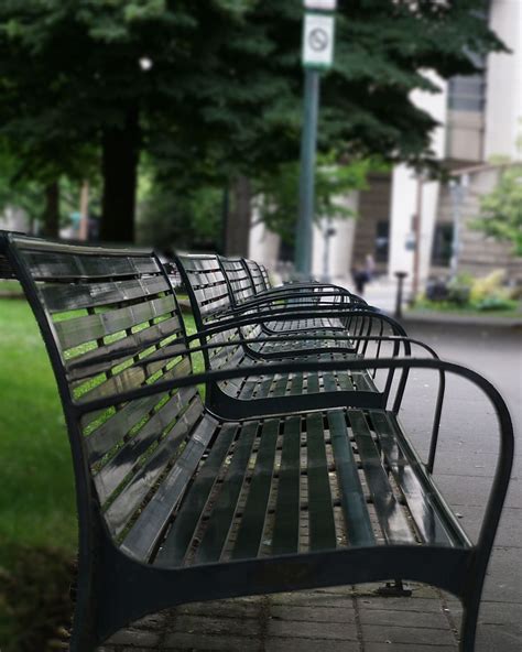 Hd Wallpaper Park Bench Benches Sitting Summer Outdoors