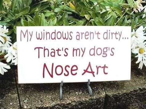 Pin By Deedles Mae West On Funnycute Etc Dog Nose Nose Art Novelty