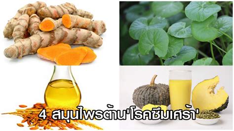 ในช่วง 2 สัปดาห์ ที่ผ่านมา คุณมีอาการต่อไปนี้บ่อยแค่ไหน? แนะ 4 สมุนไพรต้าน 'โรคซึมเศร้า'