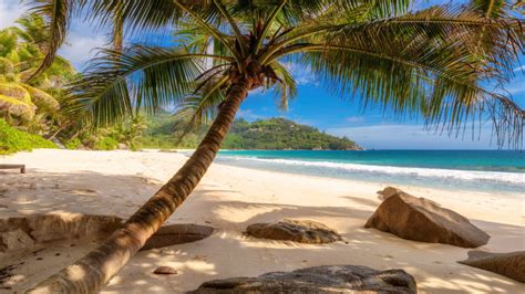 Anse Intendance At Seychelles Mahe Island Beautiful