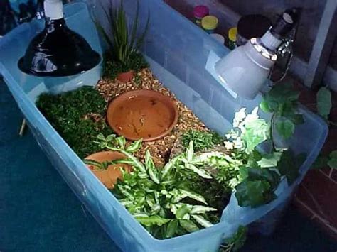 Diy Indoor Turtle Habitat Plans You Can Make Today With Pictures Pet Keen