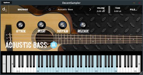 Acoustic Bass Decent Sampler Autodafe Net