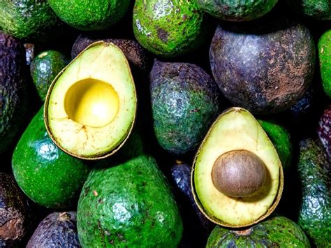 18 Popular Types Of Avocados Complete Guide 2023 Northern Nester