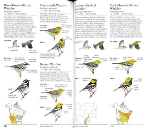 Sibley Birds East Birds Of Eastern North America