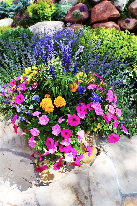 Grow in pots, beds, or bo. Pin on Garden Glory