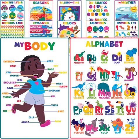 Buy Youngever 12 Pack Laminated Educational Preschool Posters For