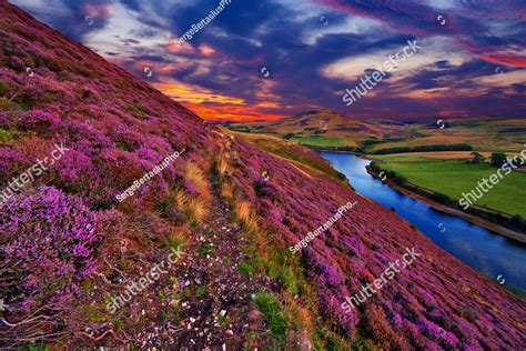Colorful Landscape Scenery With A Footpath Through The Hill Slope