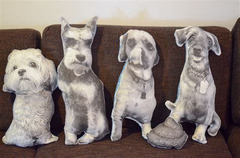 Popular set pillow with dogs of good quality and at affordable prices you can buy on aliexpress. How to Make a Pillow that Looks Like Your Dog | The BarkPost