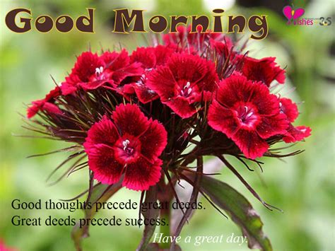 Poetry And Worldwide Wishes Good Morning Beautiful Flowers Image With