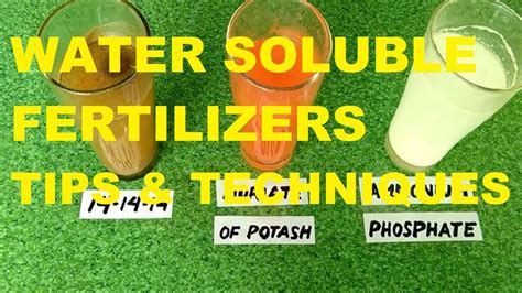 Water Soluble Fertilizer Npk Fertilizer Effective Fertilizer