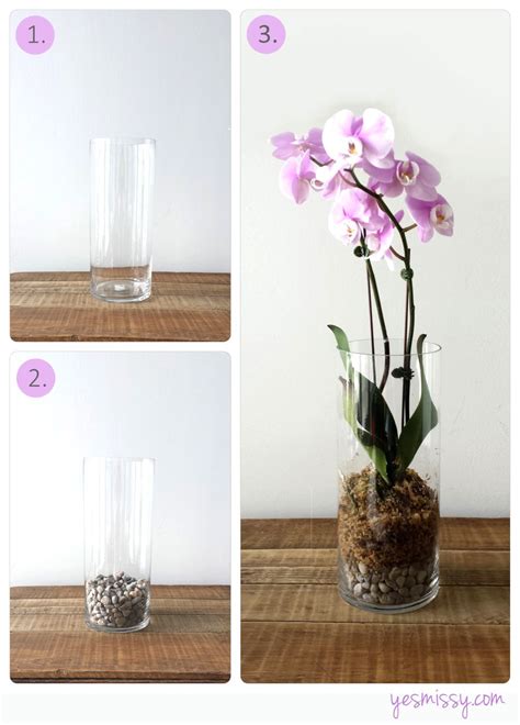 How to turn an orchid pot into a bird feeder!. Garden DIY: How To Plant a Cactus Terranium | Orchid terrarium, Beautiful orchids, Orchids